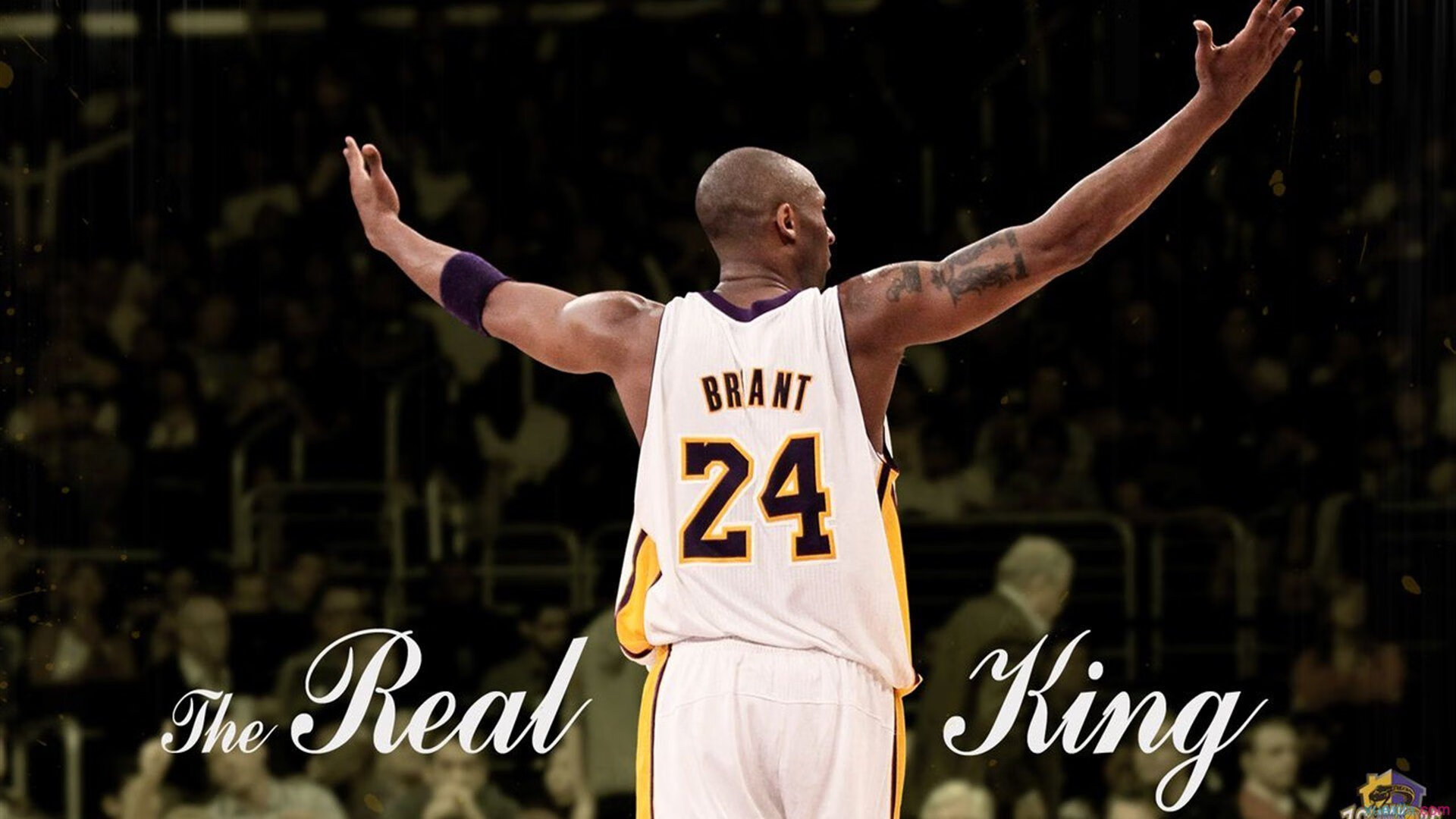 广东男篮士气爆棚，意甲常规赛遇上明尼苏达森林狼，目标明确直指晋级